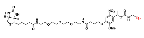 PC Biotin